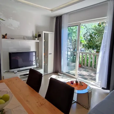 Modern Stipe With Terrace *